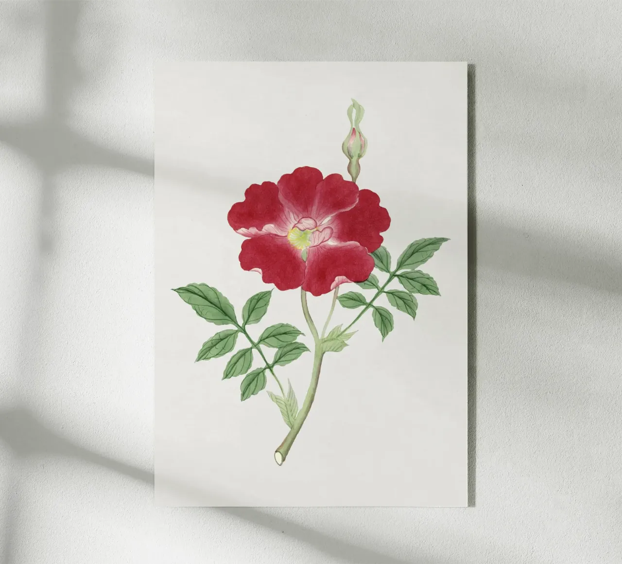 Ilustrazione di fiori giapponesi plexiglass da Venus Art