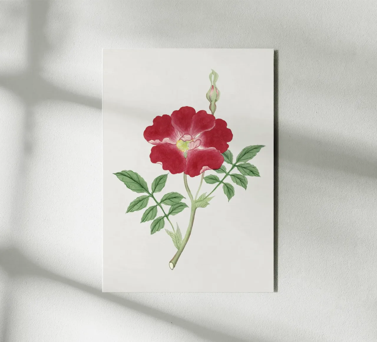 Ilustrazione di fiori giapponesi alluminio dibond da Venus Art