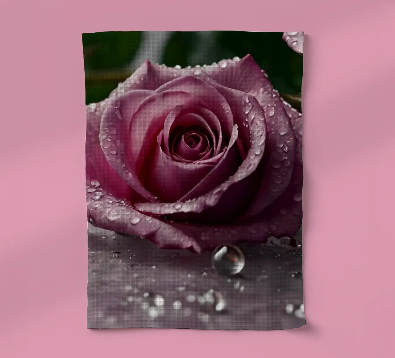 fresh pink roses adorned with dewdrops on a soft surface tea towel by DesignDoodle