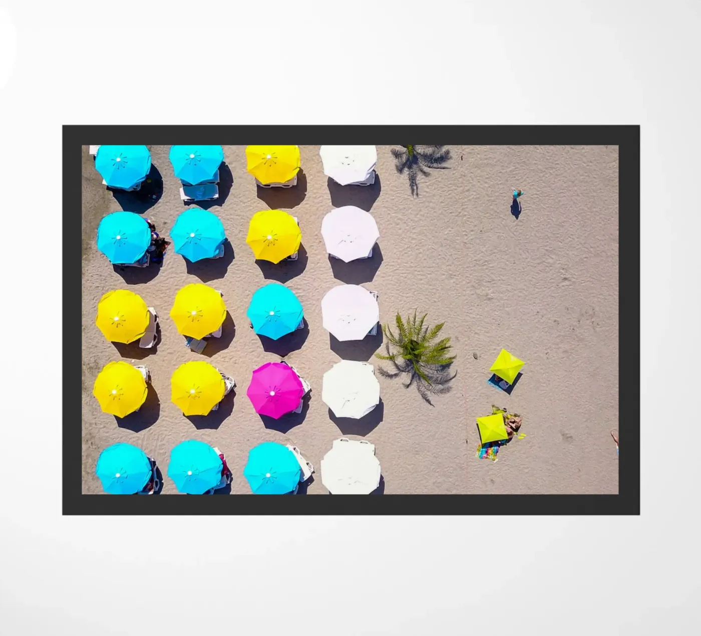 Funbrellas zerbino da Framative