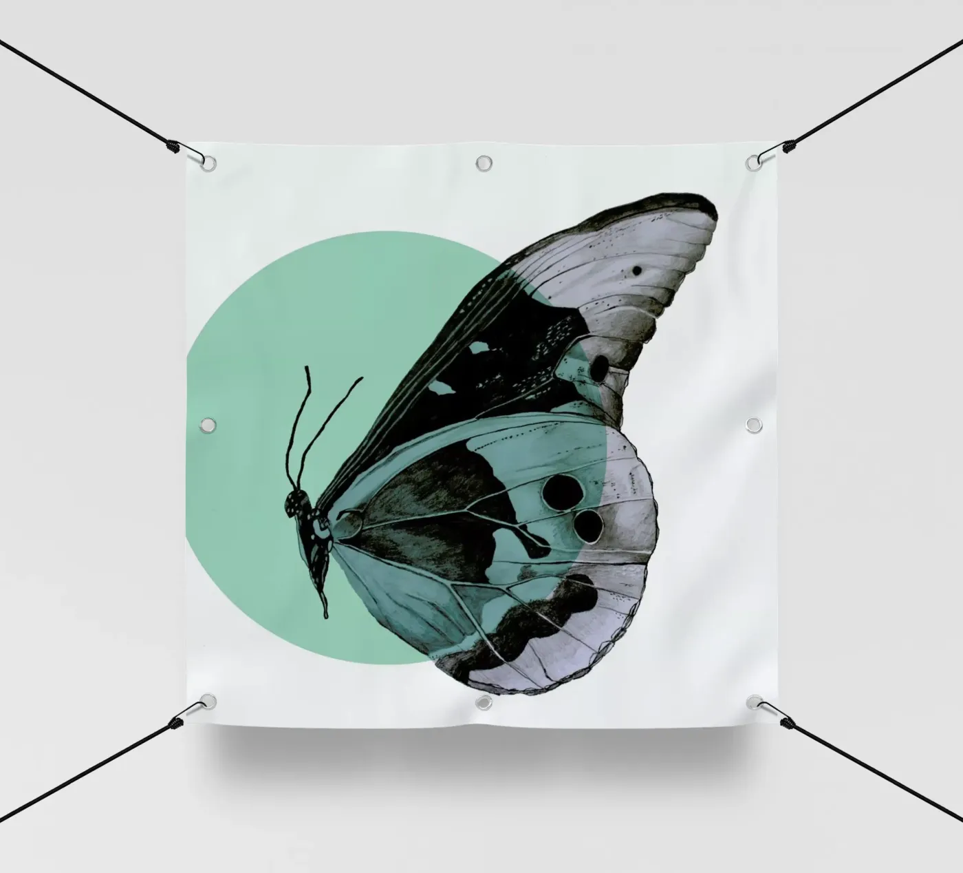 Moth pvc cover by Morgan Kendall