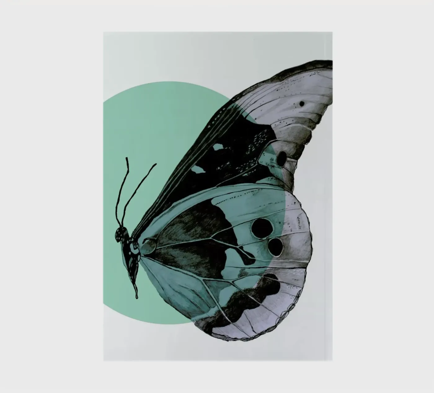 Moth notebook by Morgan Kendall