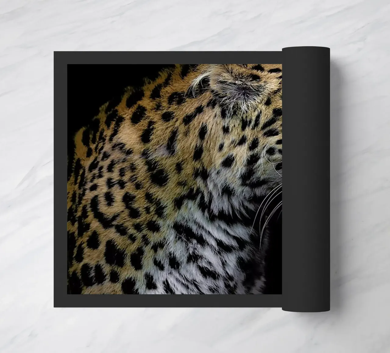 Leopard Profile by Lothare Dambreville zerbino da EyeEm Mobile GmbH