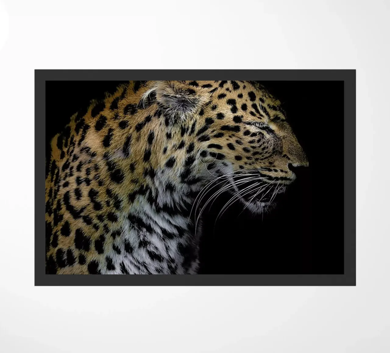 Leopard Profile by Lothare Dambreville zerbino da EyeEm Mobile GmbH