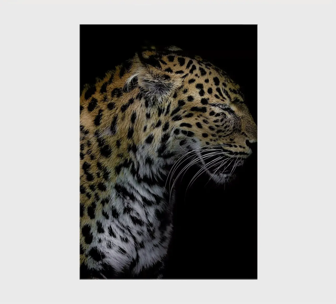 Leopard Profile by Lothare Dambreville notebook by EyeEm Mobile GmbH