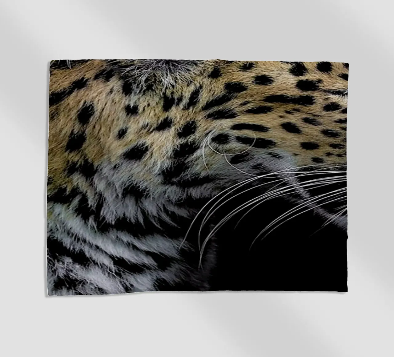 Leopard Profile by Lothare Dambreville telo mare da EyeEm Mobile GmbH