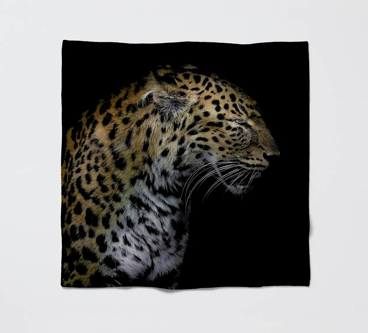 Leopard Profile by Lothare Dambreville coperta in pile da EyeEm Mobile GmbH