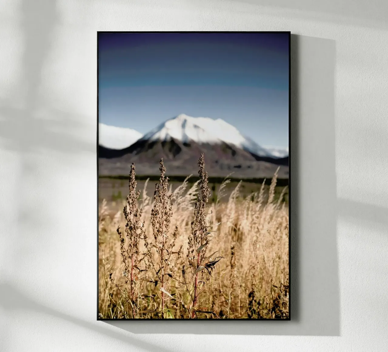 Tundra plexiglass da Cordula Schaefer