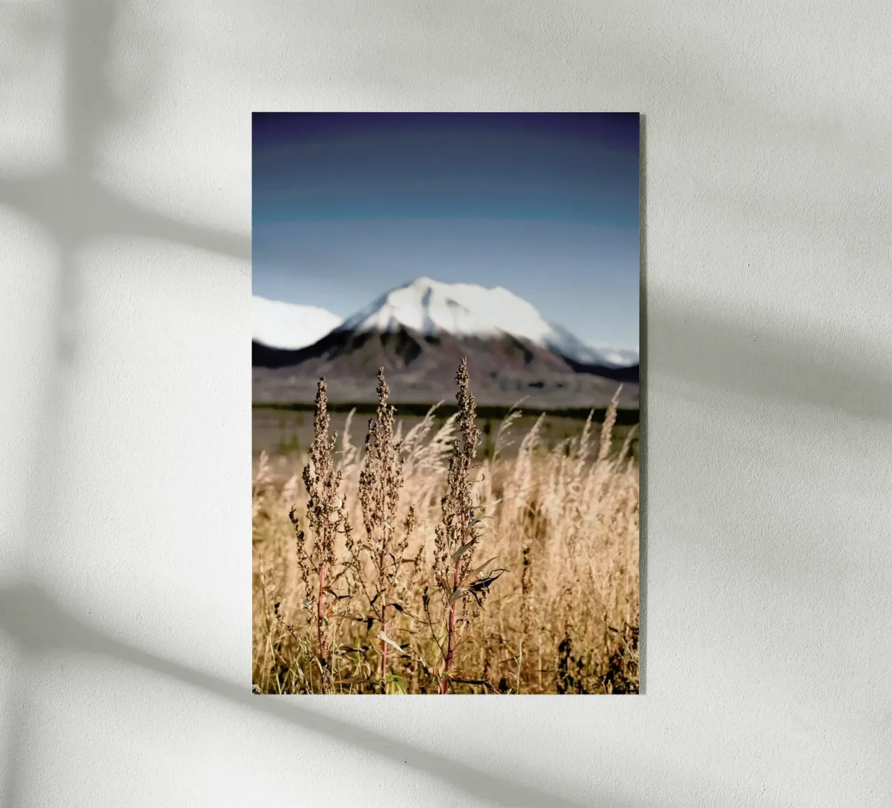 Tundra plexiglass da Cordula Schaefer