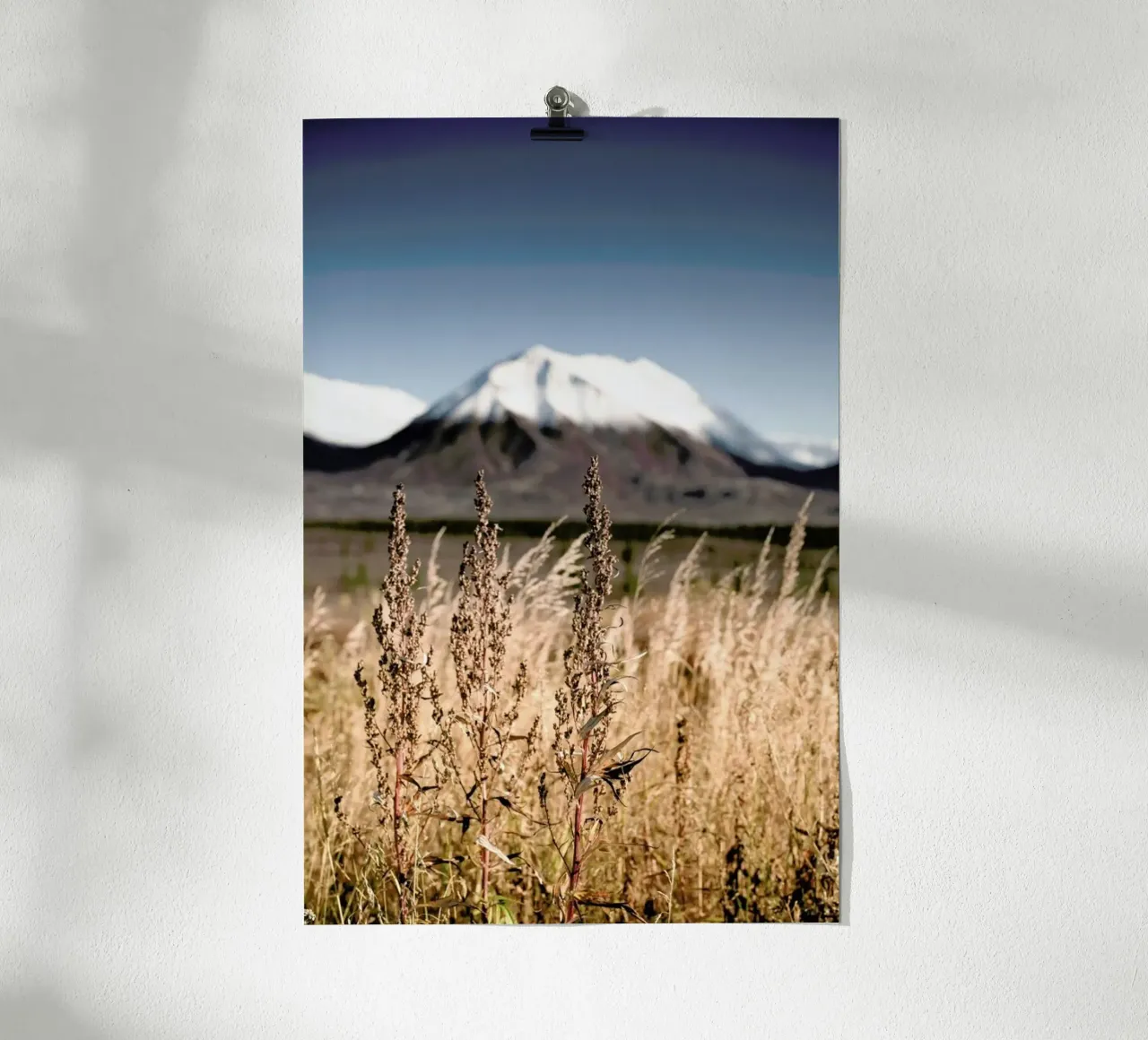 Tundra poster con telaio in legno da Cordula Schaefer