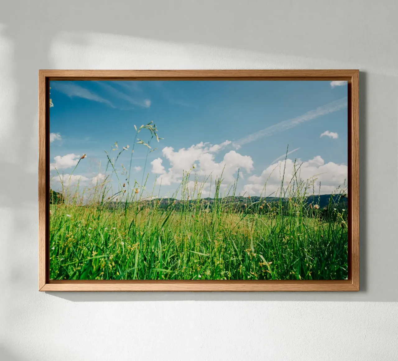 Lush green grass in summer landscape - Nature Photography canvas by Bold and Retro
