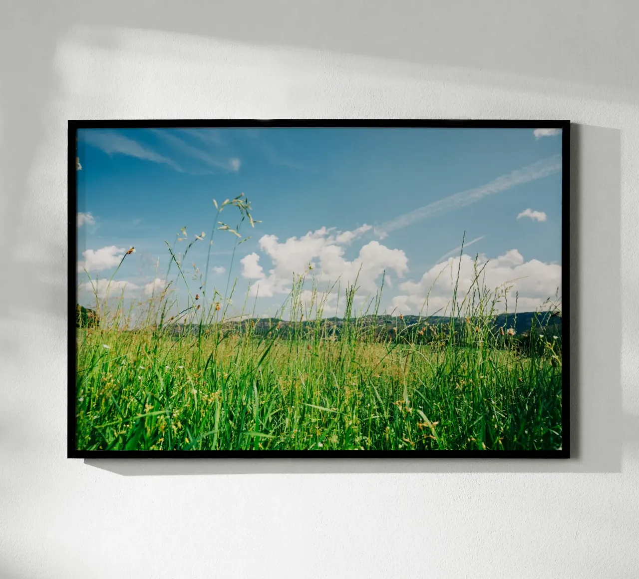 Lush green grass in summer landscape - Nature Photography hahnemühle by Bold and Retro