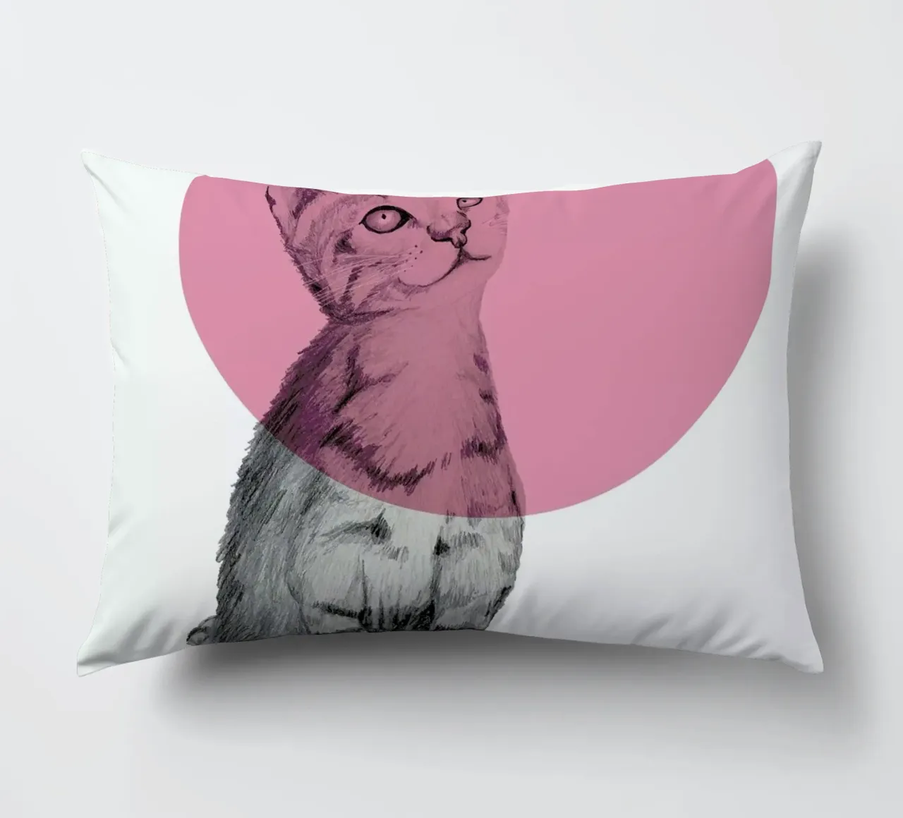 Cat cuscino da Morgan Kendall