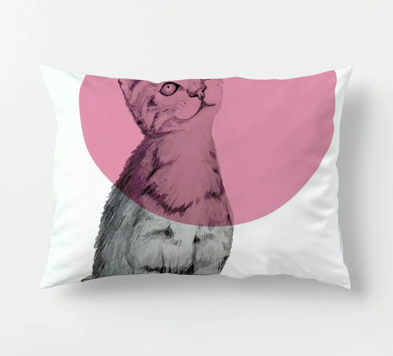Cat cuscino da Morgan Kendall
