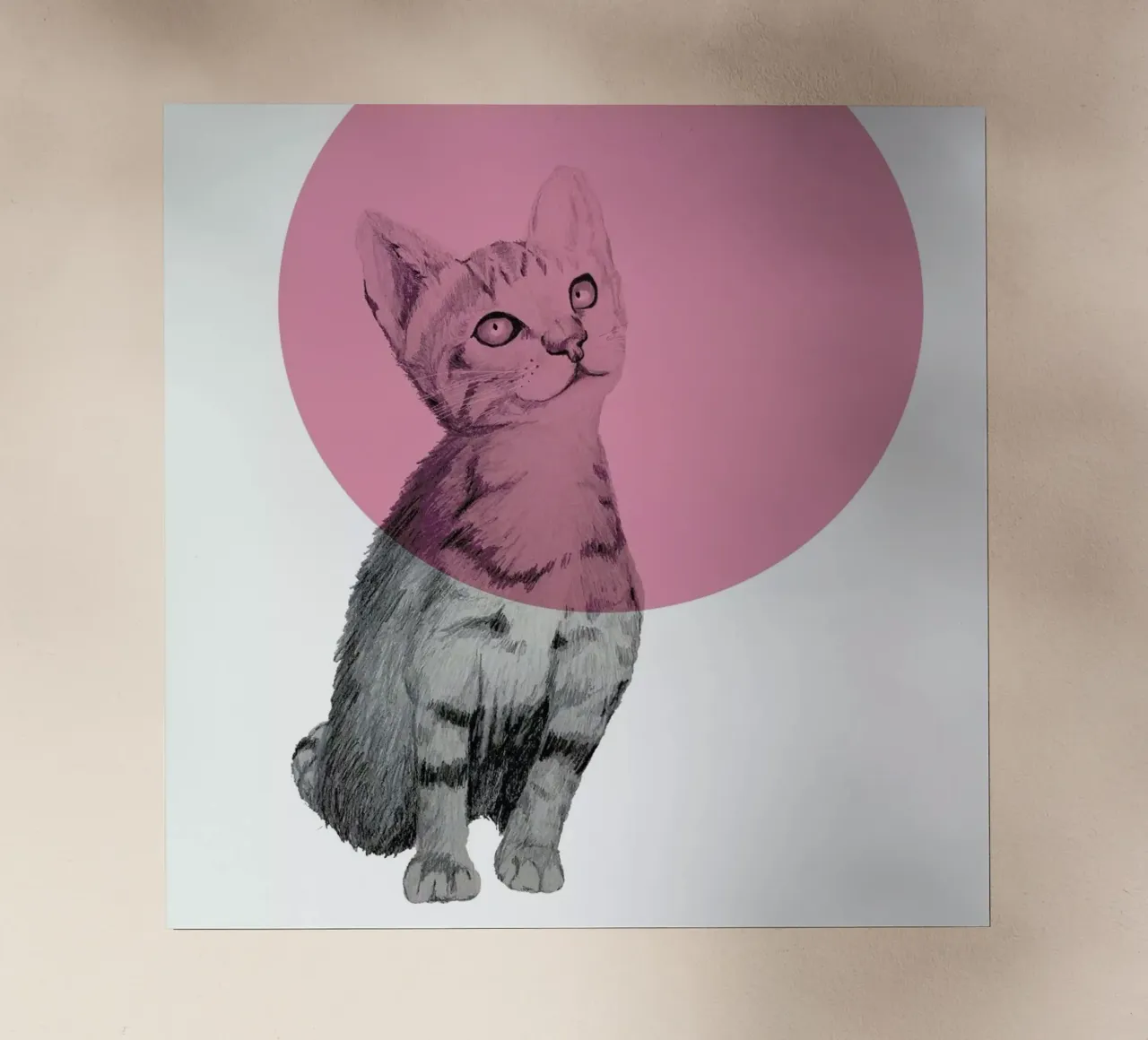 Cat pellicola backlit da Morgan Kendall