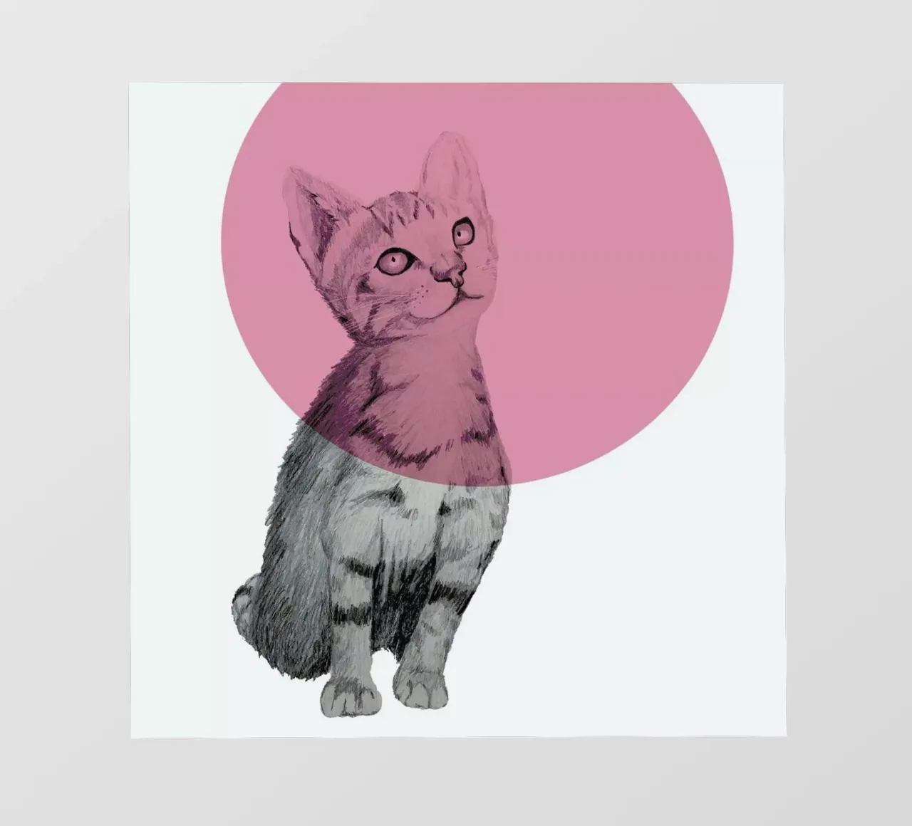 Cat pellicola backlit da Morgan Kendall