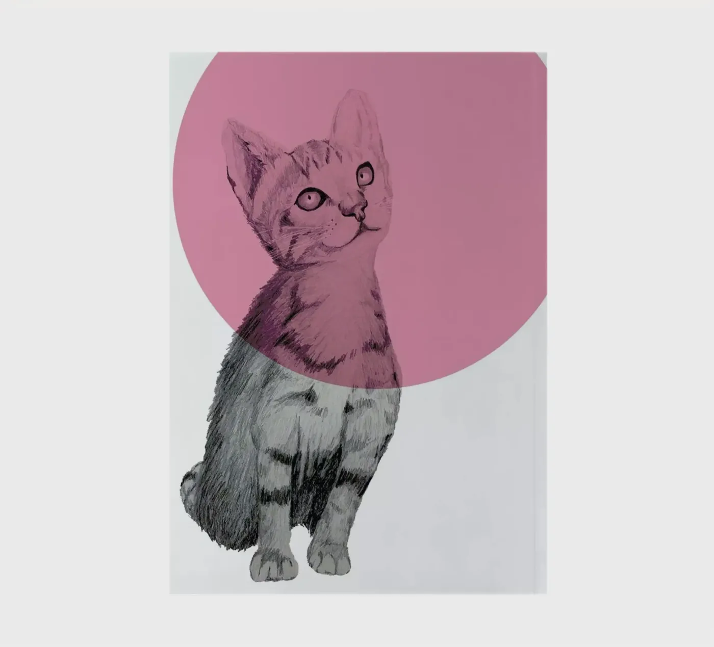 Cat notebook by Morgan Kendall