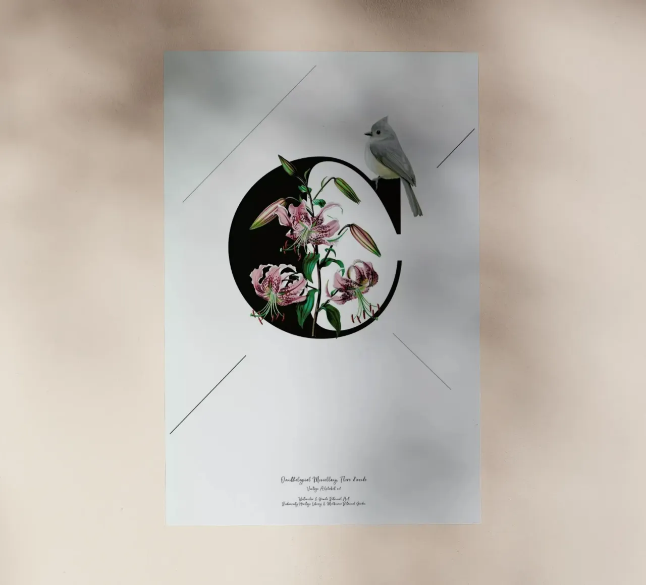 Botanical Alphabet - C pellicola backlit da Froilein Juno