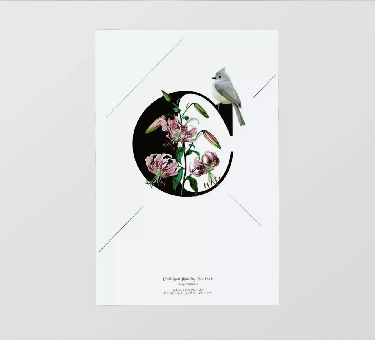 Botanical Alphabet - C pellicola backlit da Froilein Juno