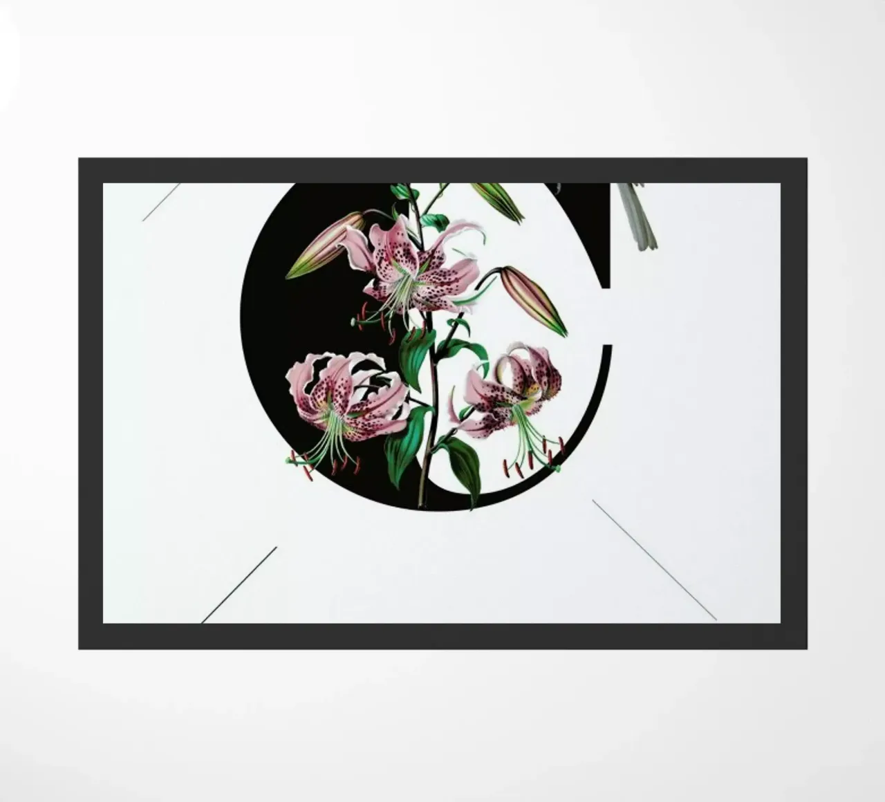 Botanical Alphabet - C felpudo de Froilein Juno