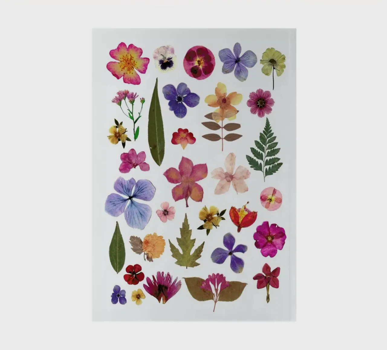 Pressed Flowers 01 notebook by Miles of Light