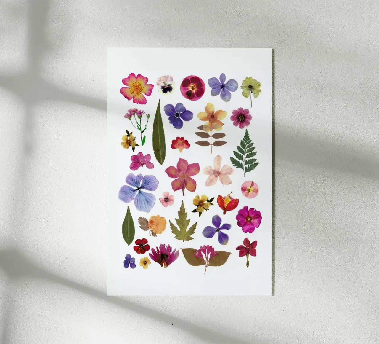 Pressed Flowers 01 plexiglass da Miles of Light