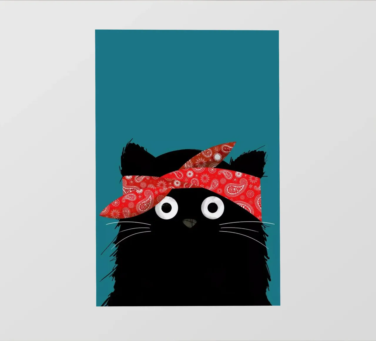 Cat - 2 Pac telo in pvc da Doozal