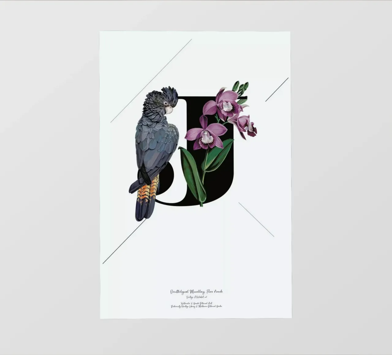 Botanical Alphabet - J pellicola backlit da Froilein Juno
