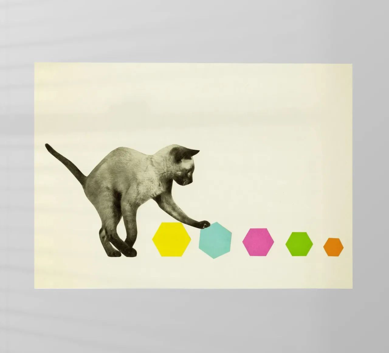 Kitty Cat pellicola backlit da Cassia Beck Collage