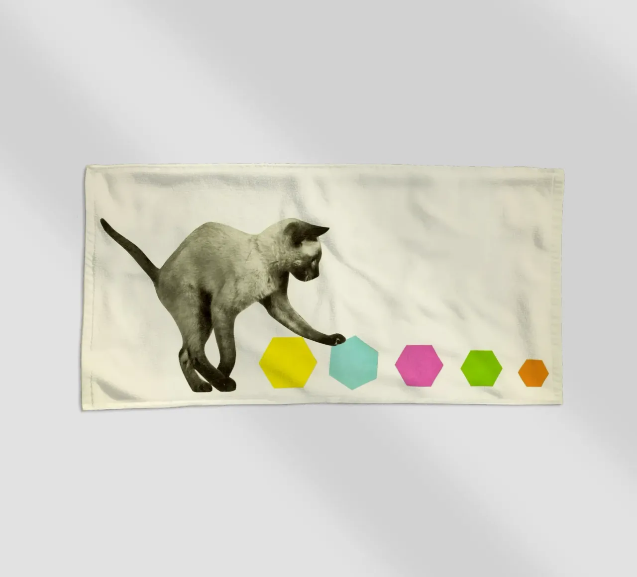 Gatto telo mare da Cassia Beck Collage