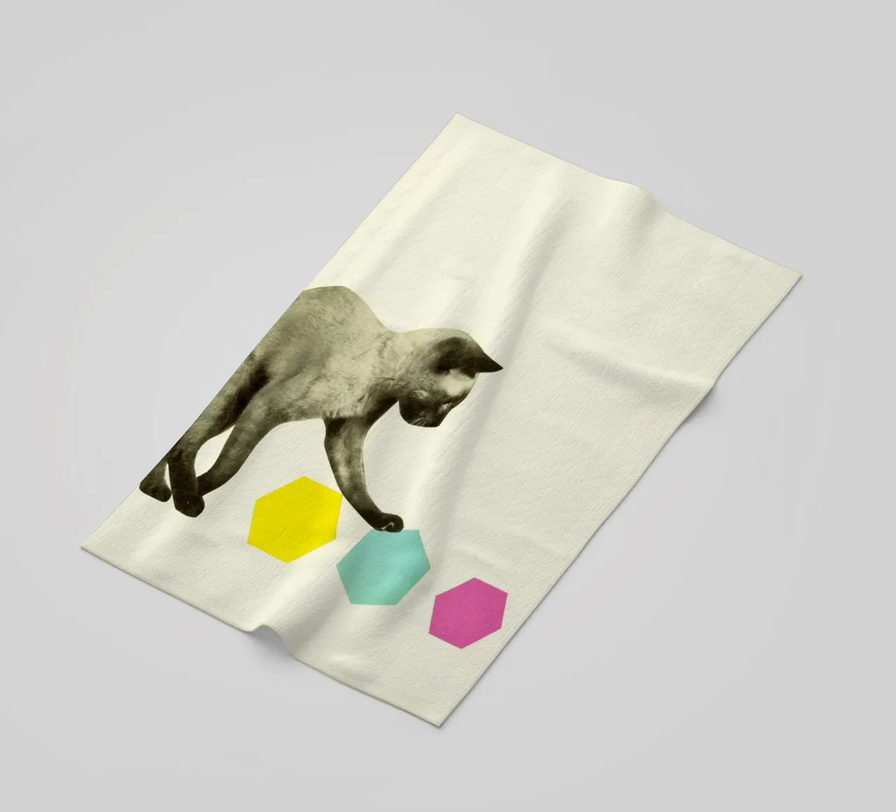 Gatto telo mare da Cassia Beck Collage