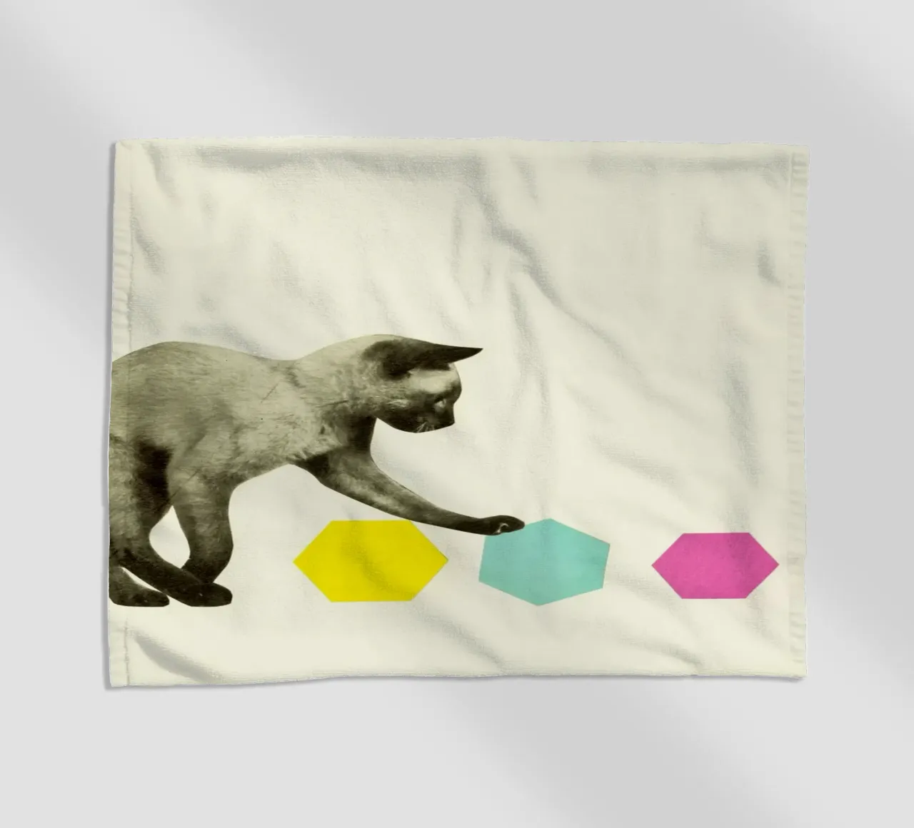 Gatto telo mare da Cassia Beck Collage