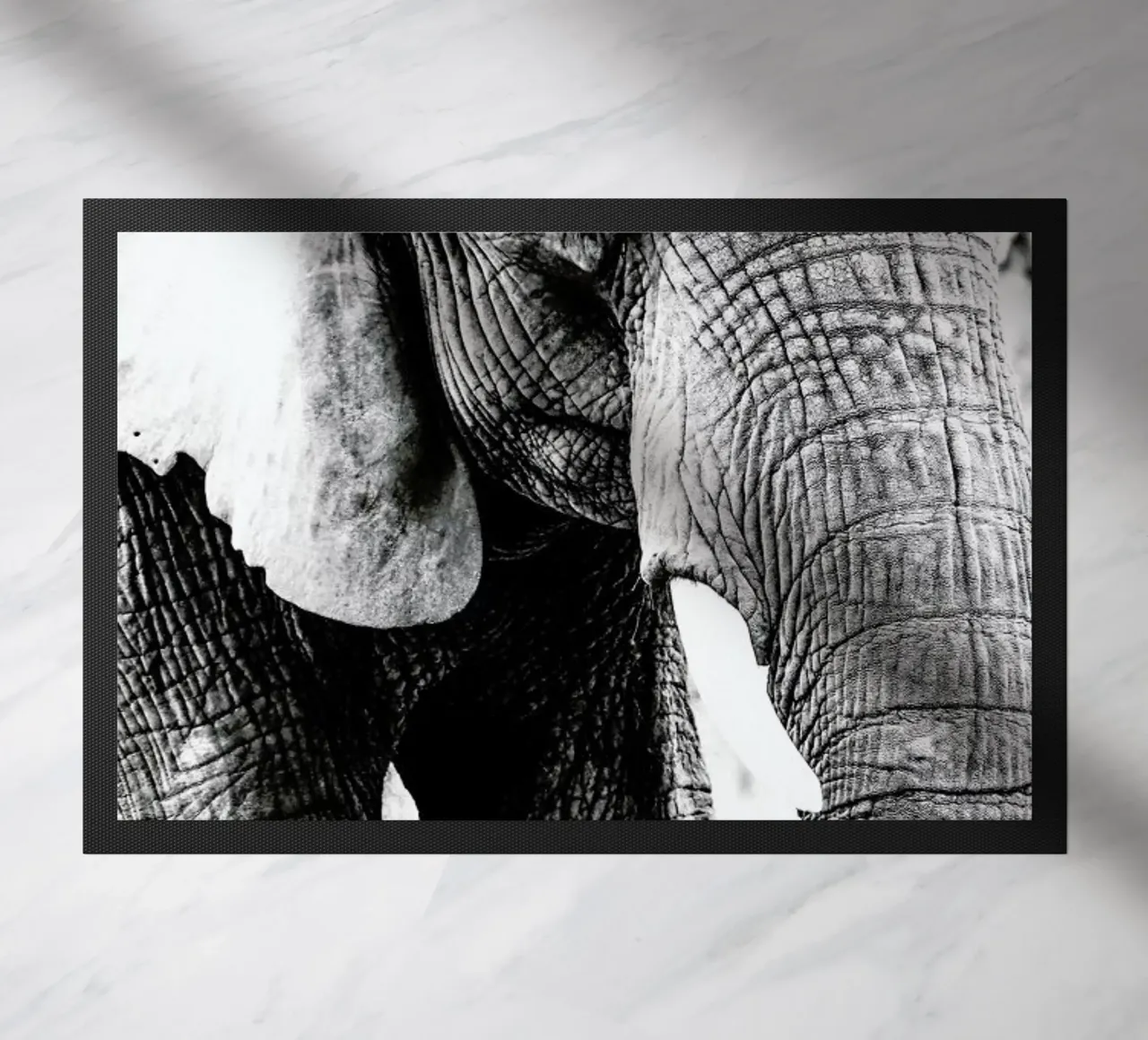 Elephant Trunk zerbino da Babett Schultze