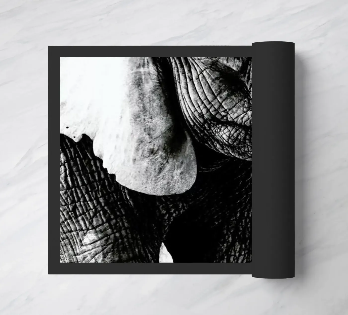 Elephant Trunk doormat by Babett Schultze