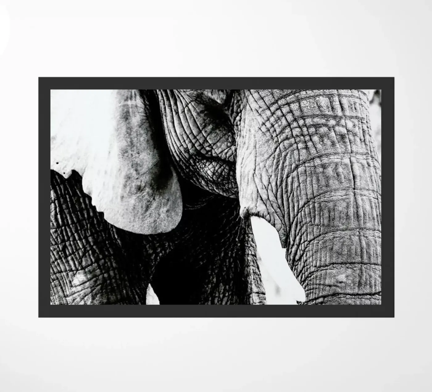 Elephant Trunk doormat by Babett Schultze