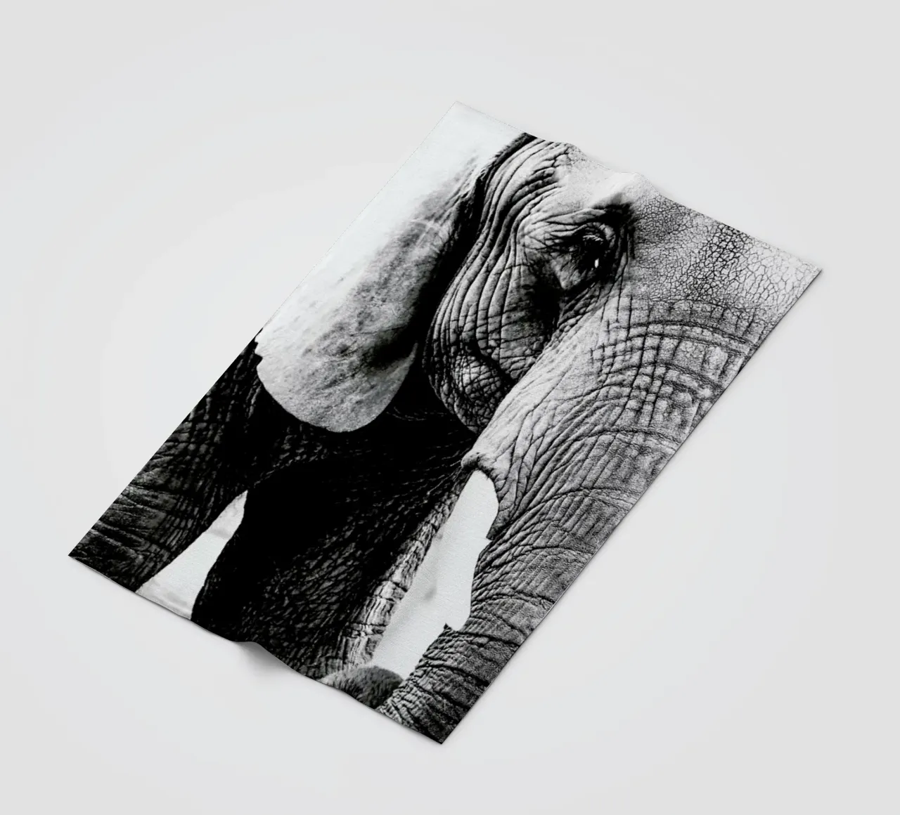 Elephant Trunk coperta in pile da Babett Schultze