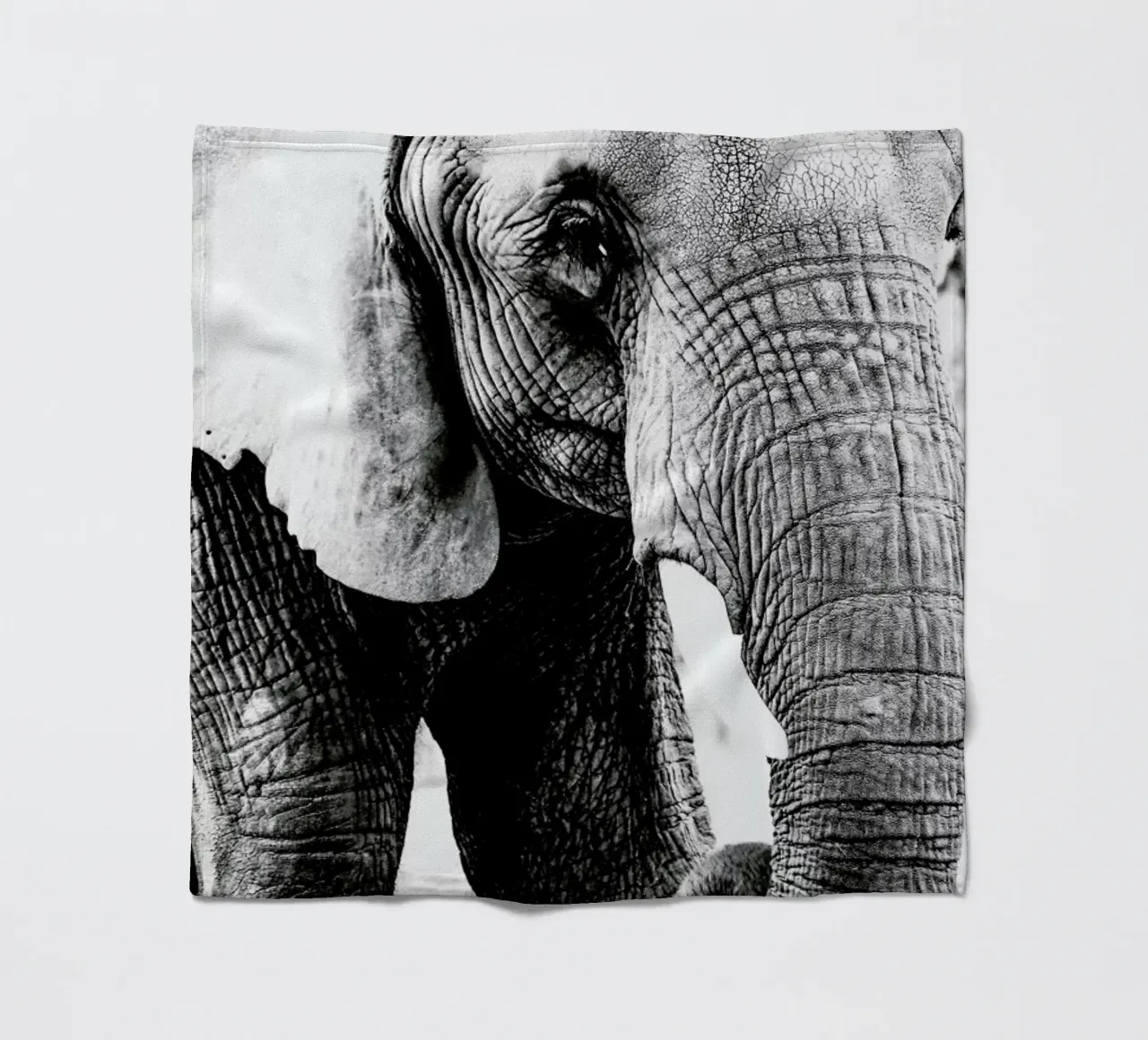 Elephant Trunk coperta in pile da Babett Schultze