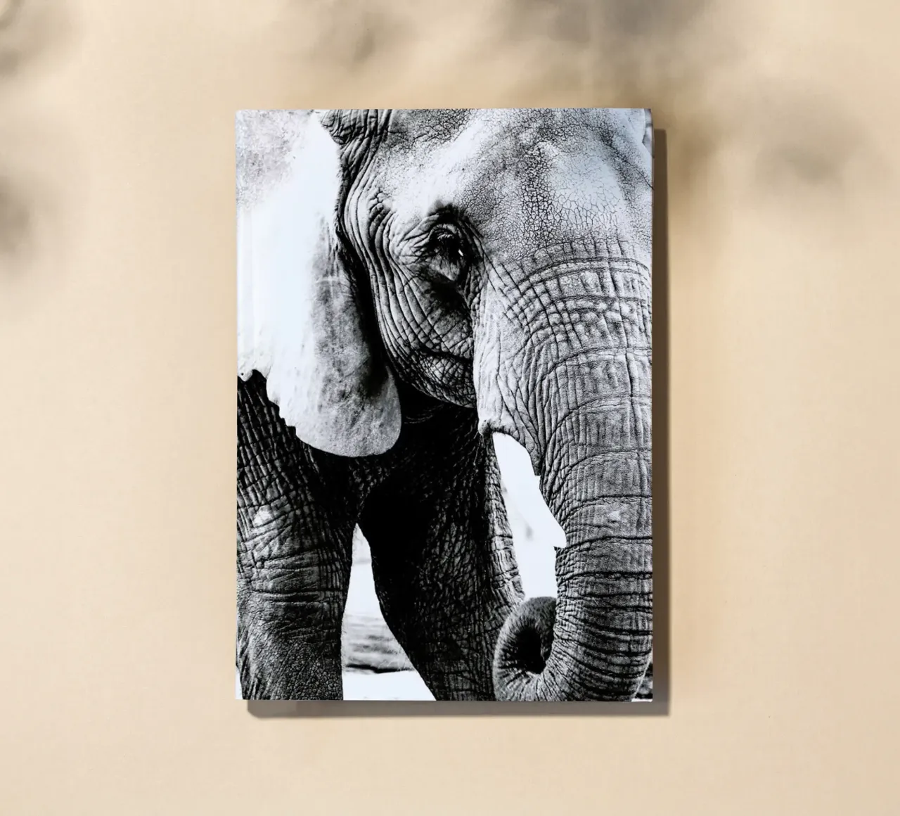 Elephant Trunk notebook by Babett Schultze