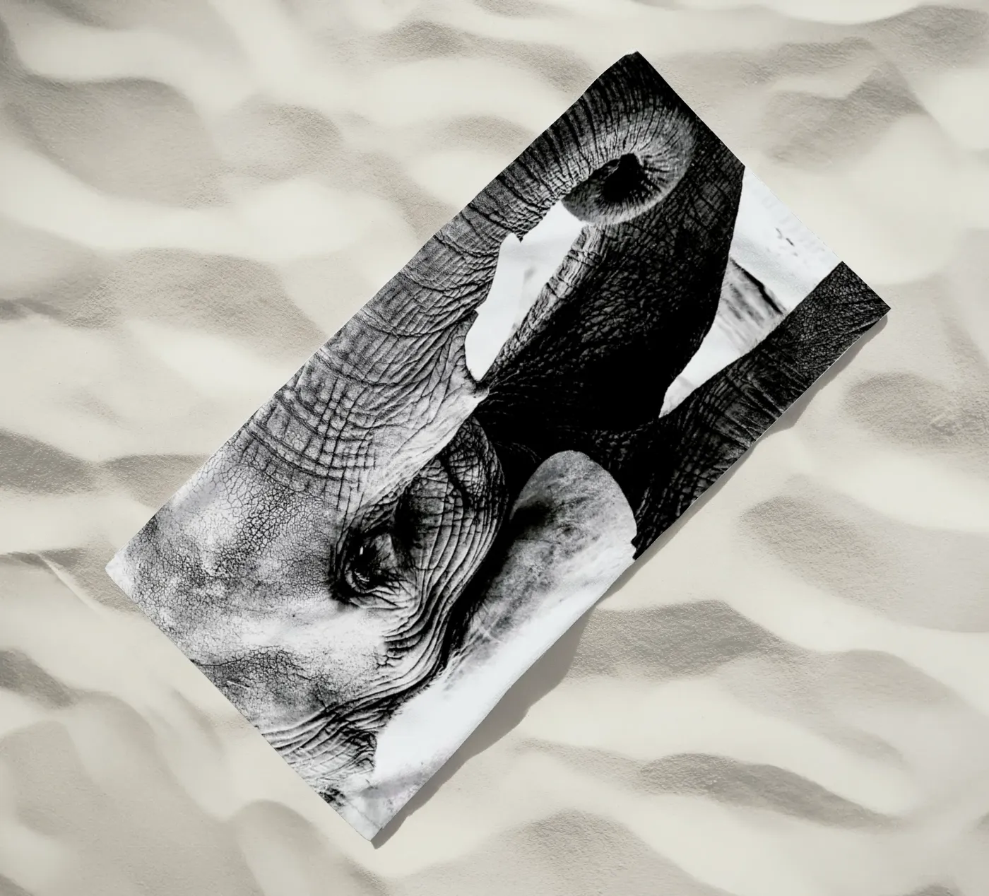 Elephant Trunk telo mare da Babett Schultze