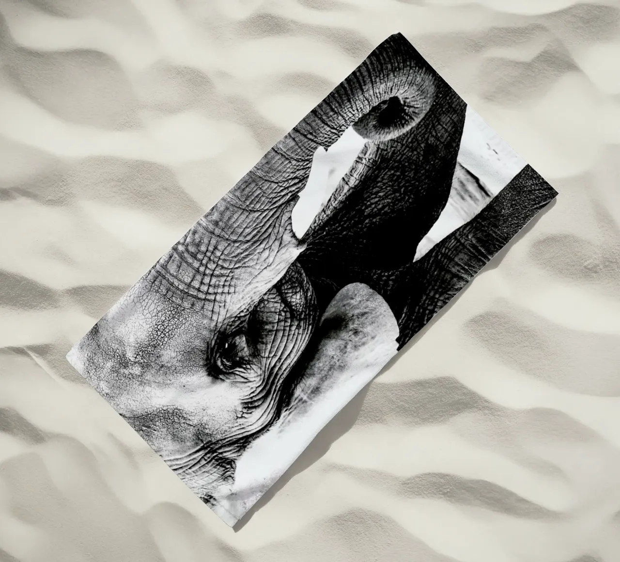 Elephant Trunk telo mare da Babett Schultze