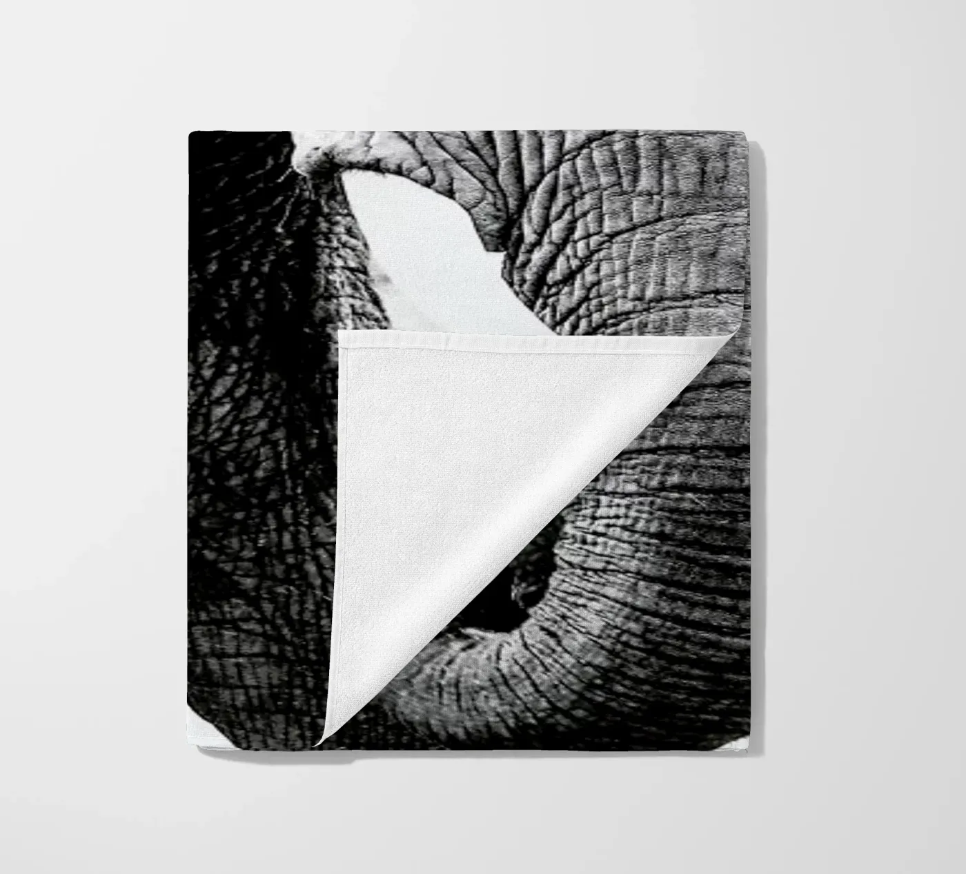 Elephant Trunk telo mare da Babett Schultze