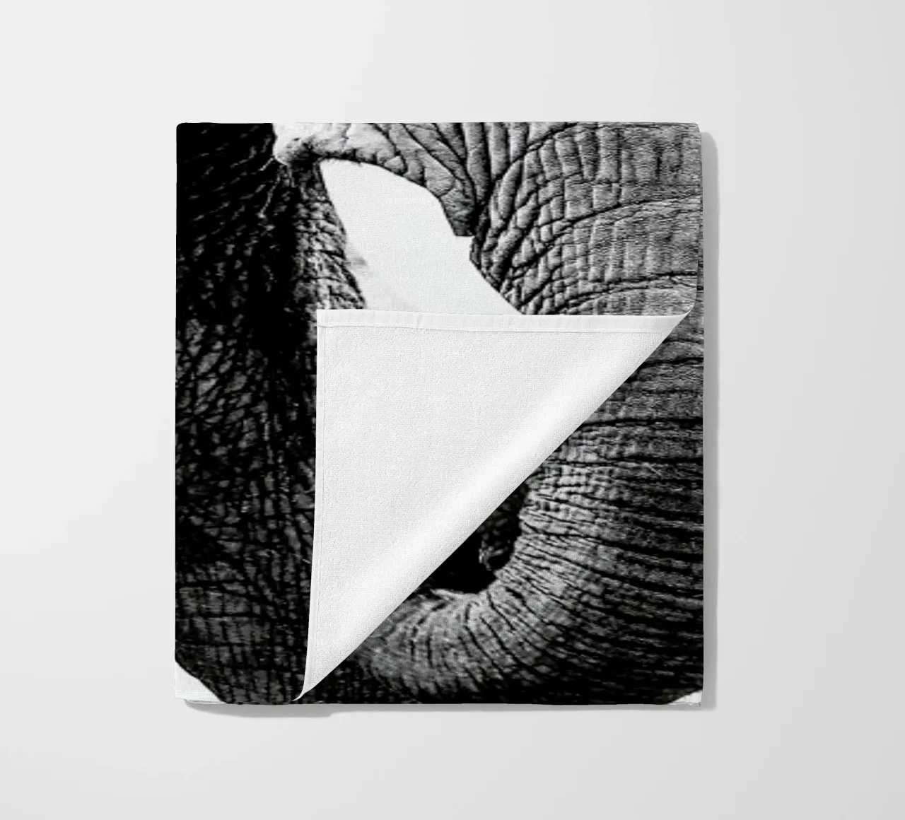 Elephant Trunk telo mare da Babett Schultze