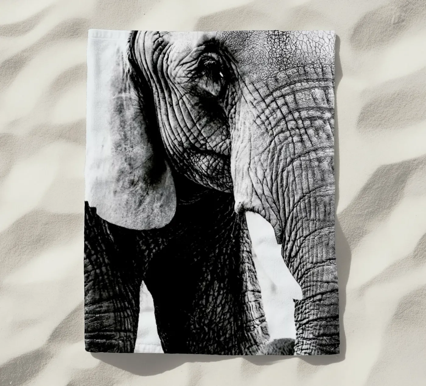 Elephant Trunk telo mare da Babett Schultze