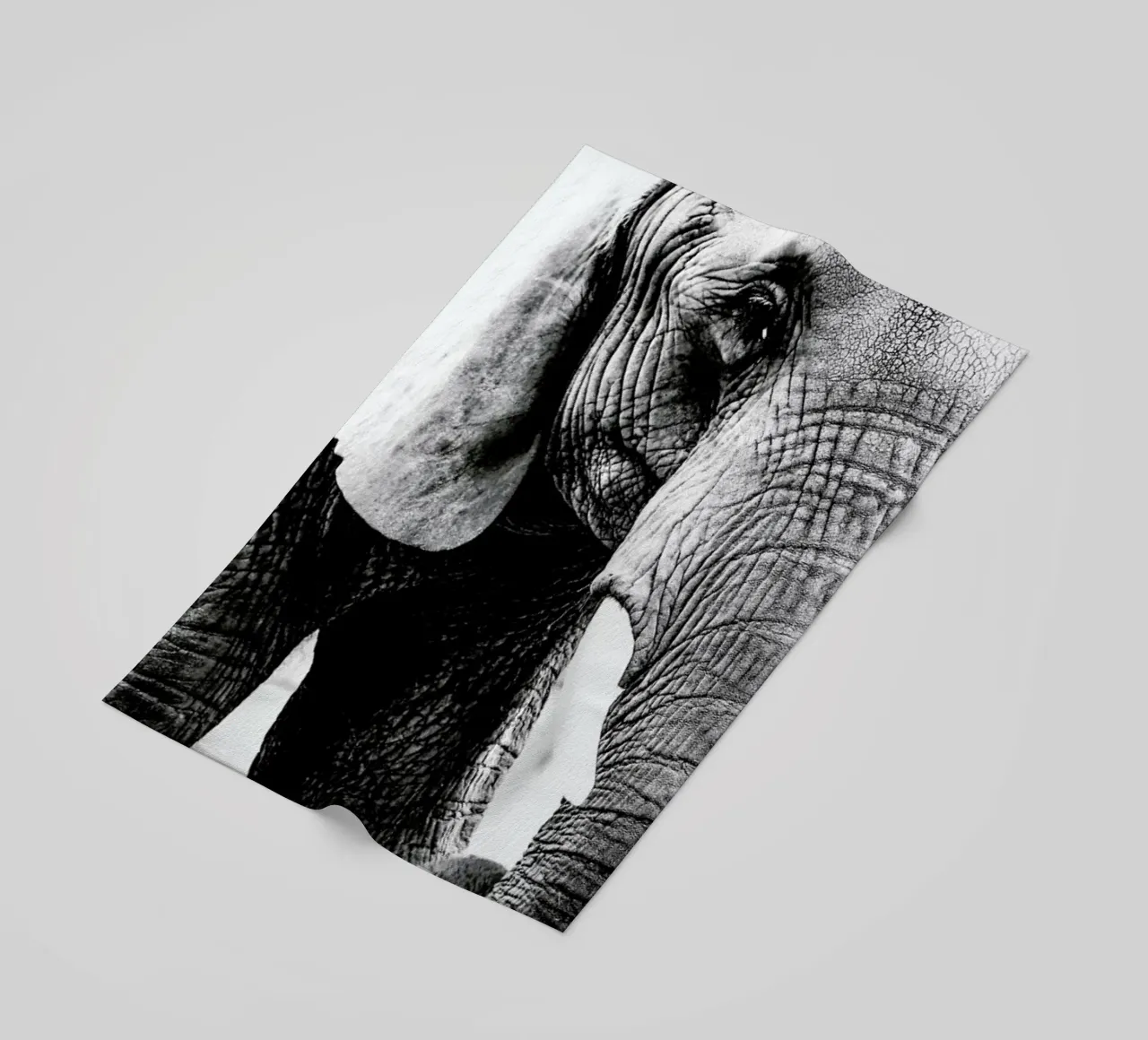 Elephant Trunk telo mare da Babett Schultze