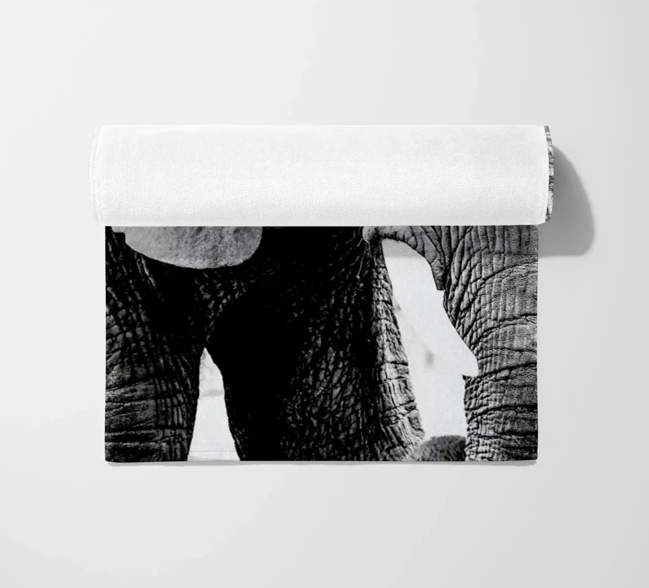 Elephant Trunk telo mare da Babett Schultze