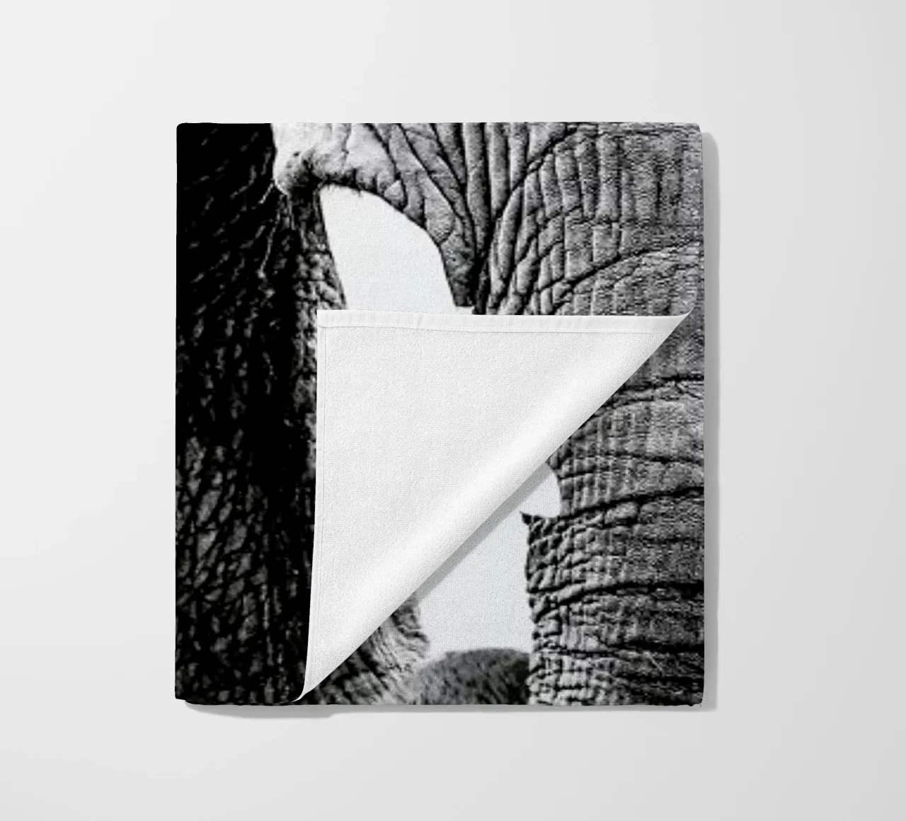 Elephant Trunk telo mare da Babett Schultze