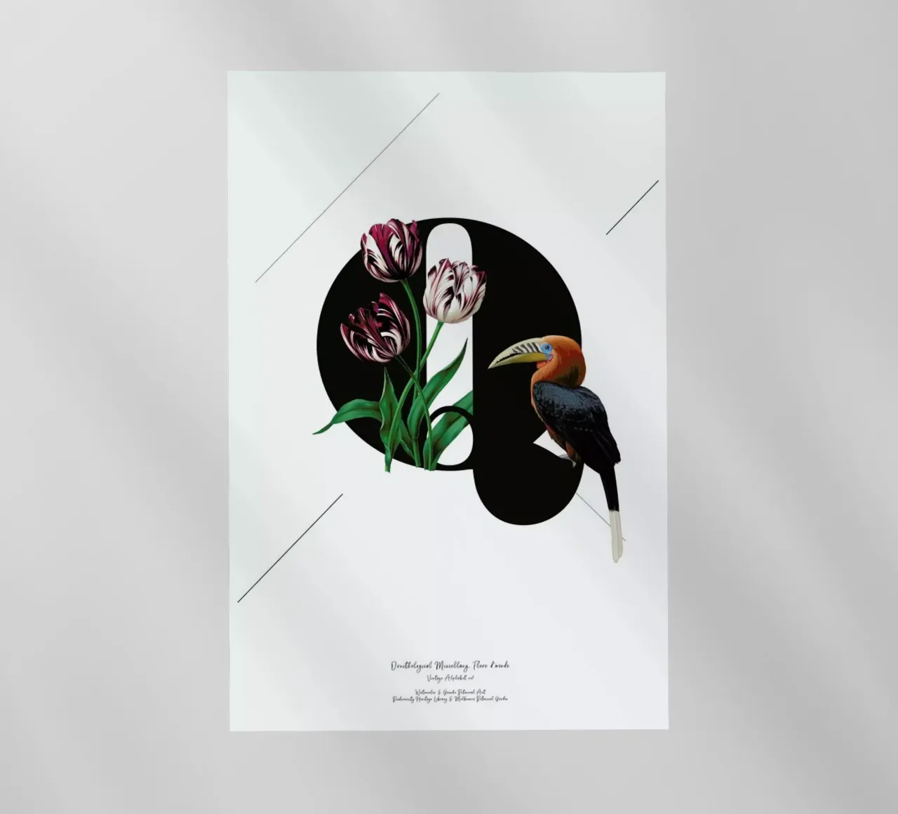Botanical Alphabet - Q pellicola backlit da Froilein Juno
