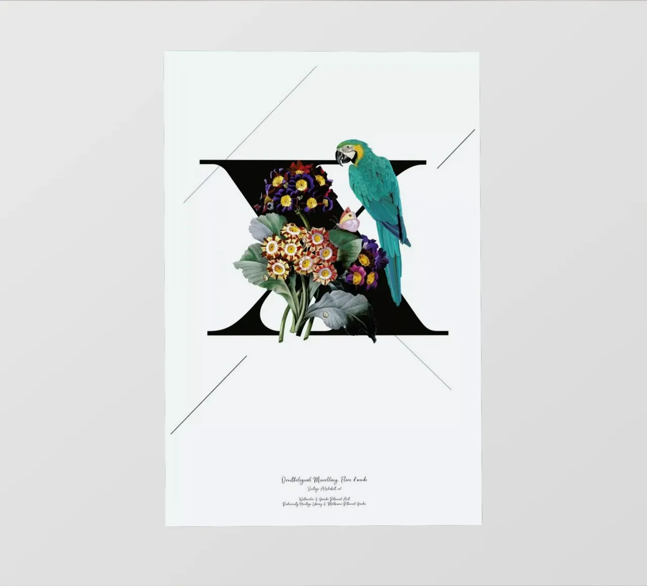 Botanical Alphabet - X pellicola backlit da Froilein Juno