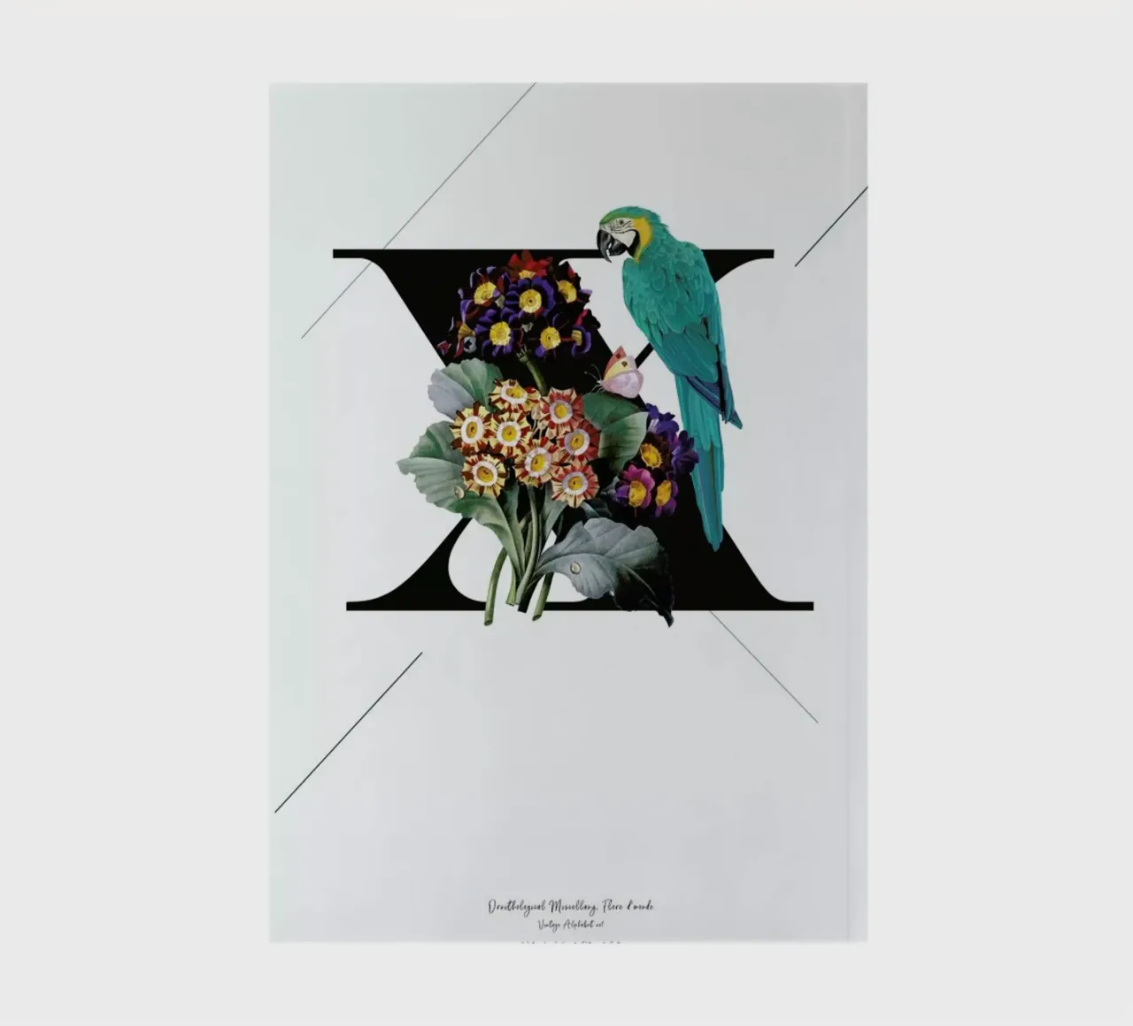 Botanical Alphabet - X diario da Froilein Juno