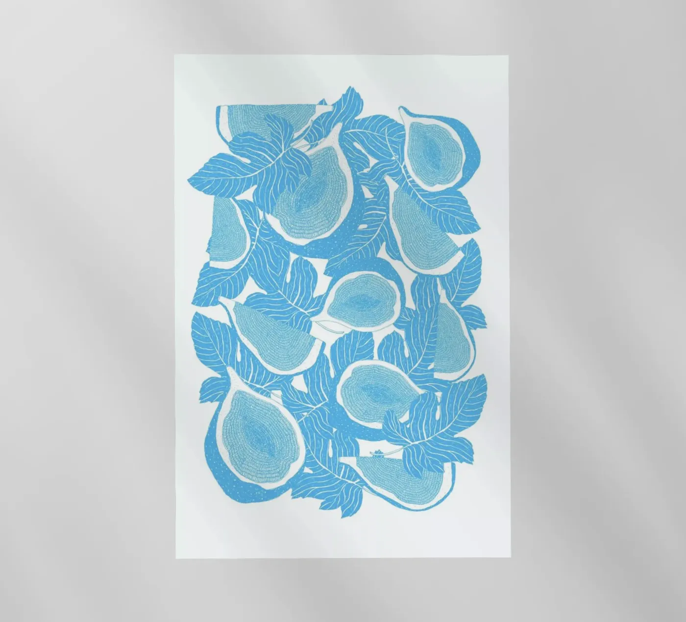 Feigen pellicola backlit da Eva Wünsch